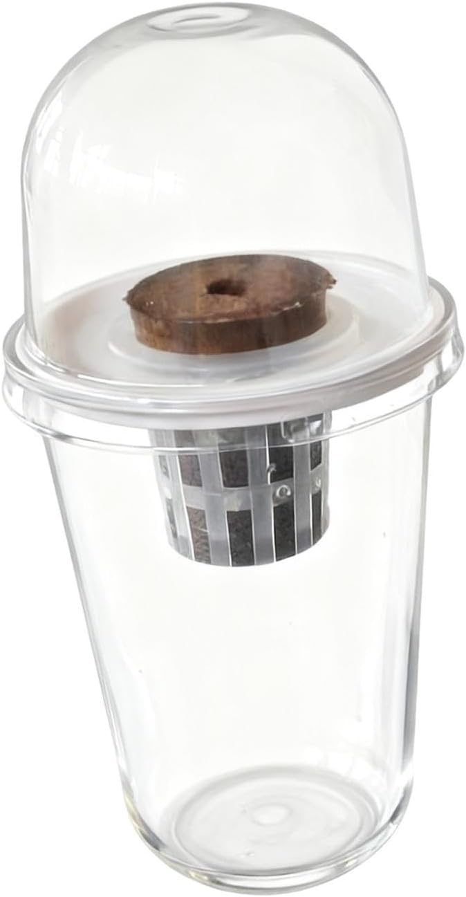 Pot Set Growing Kit Kit Germination Set Made of PP Material Soil for Garden Office Break Ro, 1 Kit