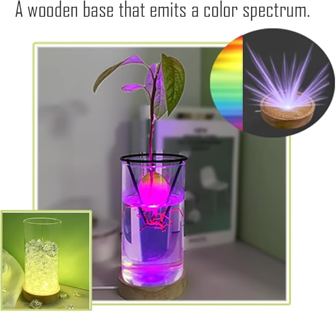 Avocado Vase, Avocado Seed Starter Vase with Wood Multicolor LED Light Base, Avocado Growing Kit with Plant Support, Acorn vase, propagation stations for Forcing Hyacinth (Stainless Steel Silver)