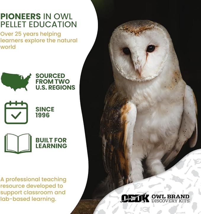 Barn Owl Pellets Classroom 1 Pack (Large) – Dissection Kit for Ecology & STEM – Includes Forceps, Picks & Teacher Guide – Hands-On Science Activity
