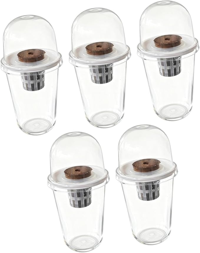 Pot Set Growing Kit Kit Germination Set Made of PP Material Soil for Garden Office Break Ro, 5 Kit