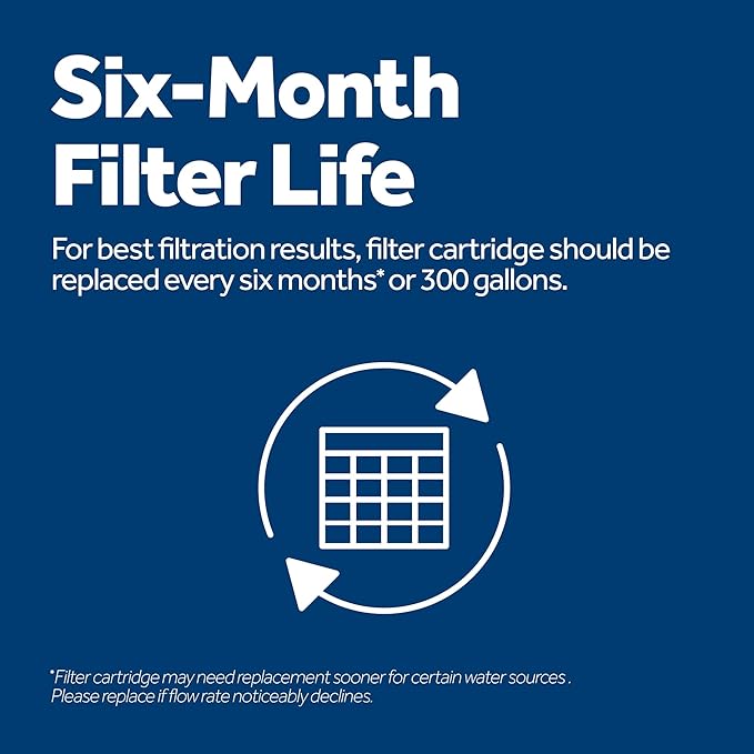 GE XWFE Refrigerator Water Filter | Reduces Lead & 50+ Impurities | Replace Every 6 Months | Pack of 4