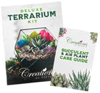 Terrarium Kit – DIY Terrarium Kit for Succulents, Cacti & Air Plants, Includes Premium Soil, Moss, Pebbles & Tools, Plant Starter Kit, Closed Terrarium Supplies, Handmade in USA