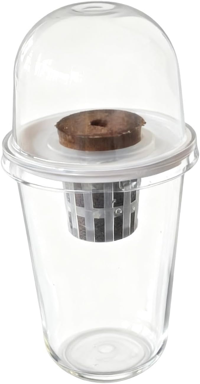 Pot Set Growing Kit Kit Germination Set Made of PP Material Soil for Garden Office Break Ro, 1 Kit