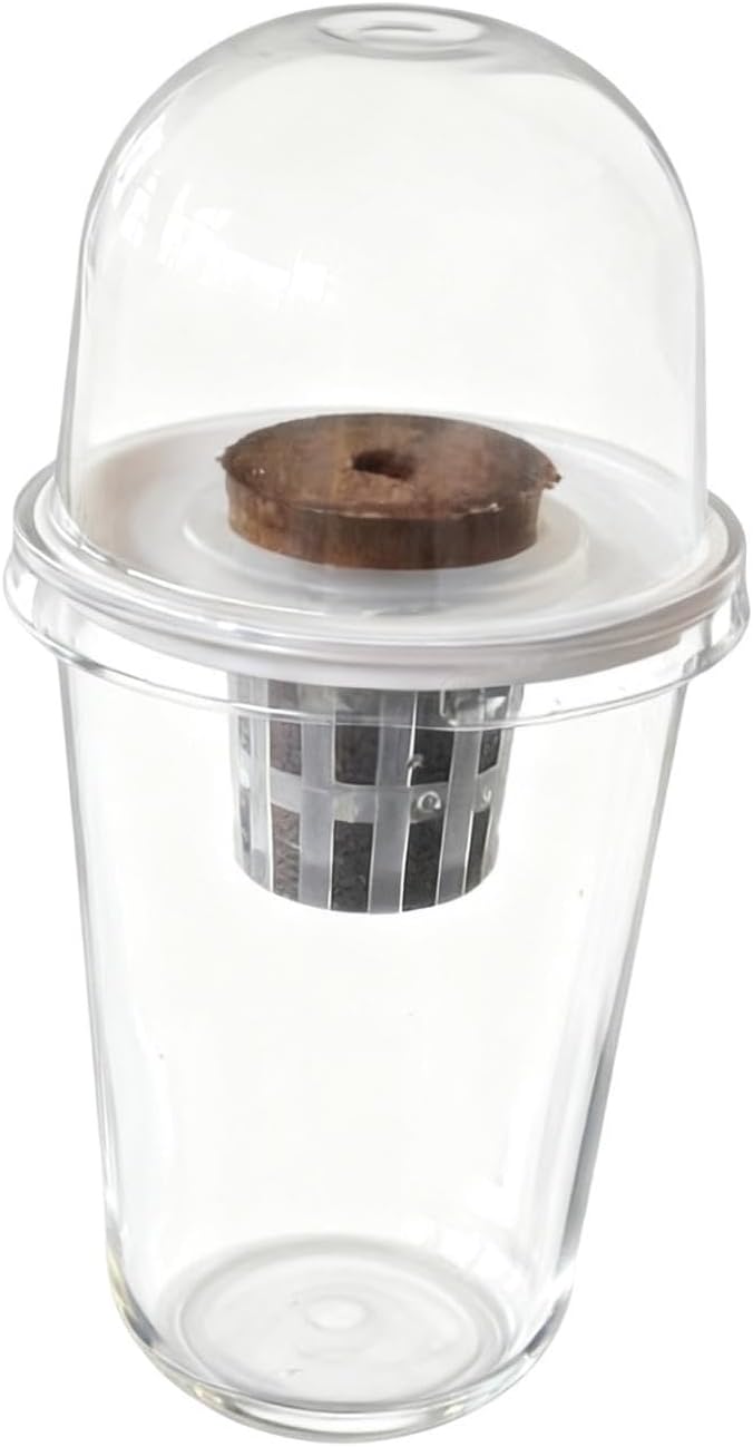 Pot Set Growing Kit Kit Germination Set Made of PP Material Soil for Garden Office Break Ro, 1 Kit