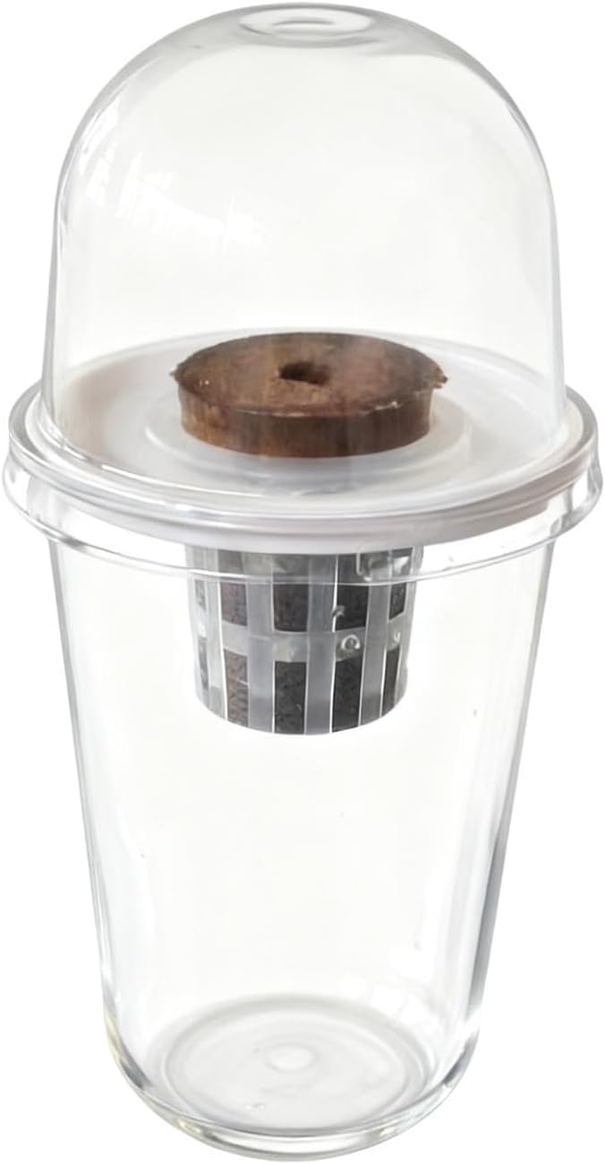 Pot Set Growing Kit Kit Germination Set Made of PP Material Soil for Garden Office Break Ro, 1 Kit