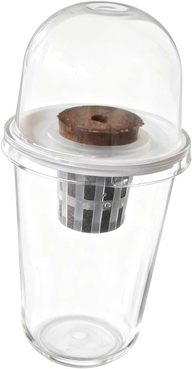 Pot Set Growing Kit Kit Germination Set Made of PP Material Soil for Garden Office Break Ro, 1 Kit