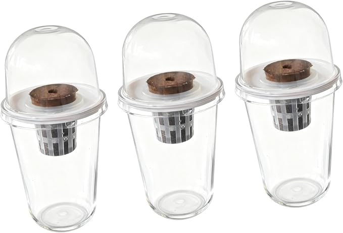 Pot Set Growing Kit Kit Germination Set Made of PP Material Soil for Garden Office Break Ro, 3 Kit