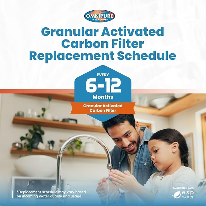 Omnipure CL10ROT33-BB Inline Water Filter, 1/4" FPT, Granular Carbon Replacement Cartridge, In-Line Water Filters for Under-Sink RO, Water Coolers, Ice Machines, RVs, NSF Certified and Made in USA