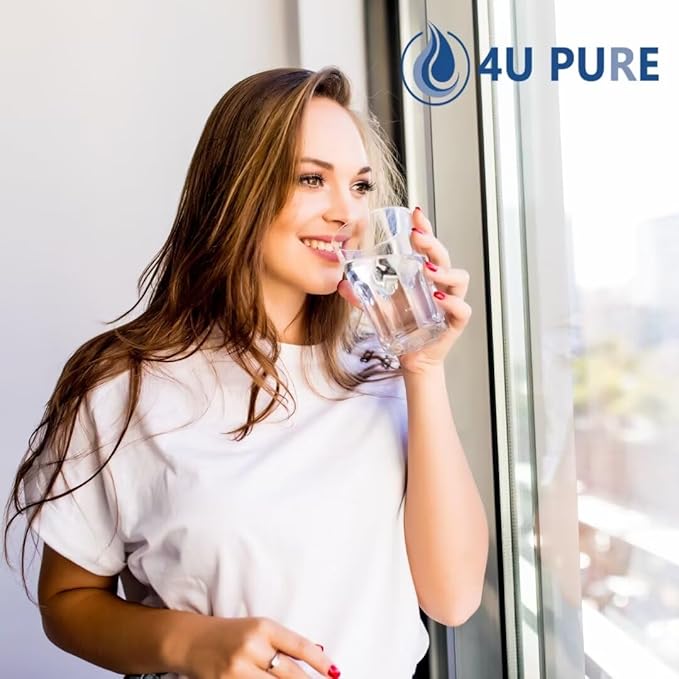 Replacement for EPTWFU01, Рurе Sоurсе Ultra 2, EWF02, 012505454226, 4562222 Refrigerator Water Filter, Pack of 1