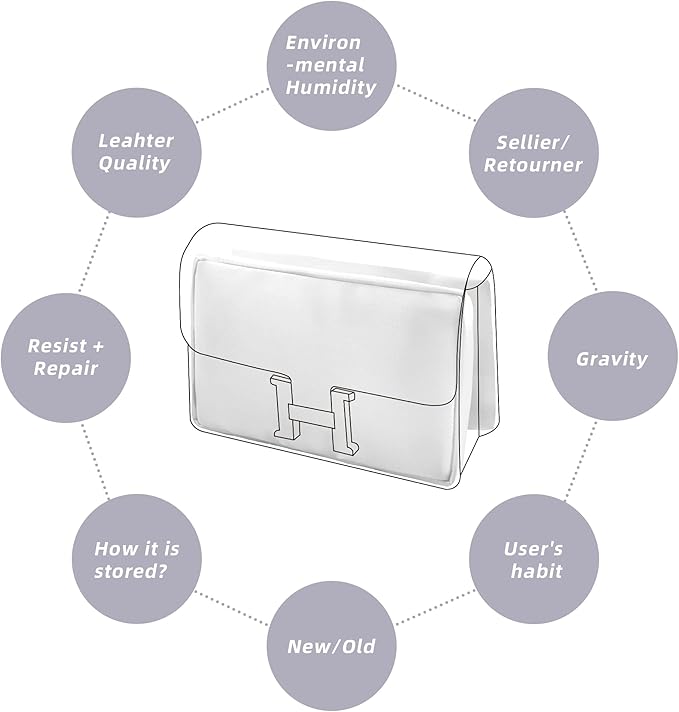 DGAZ Bag Pillow Shaper Insert for Luxury Handbags, Silky Pillow Shaper for Hermes Constance 19/New19/24/New24 Bags（C24,White）