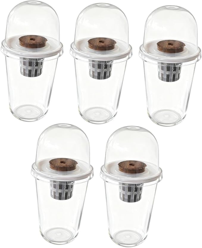 Pot Set Growing Kit Kit Germination Set Made of PP Material Soil for Garden Office Break Ro, 5 Kit