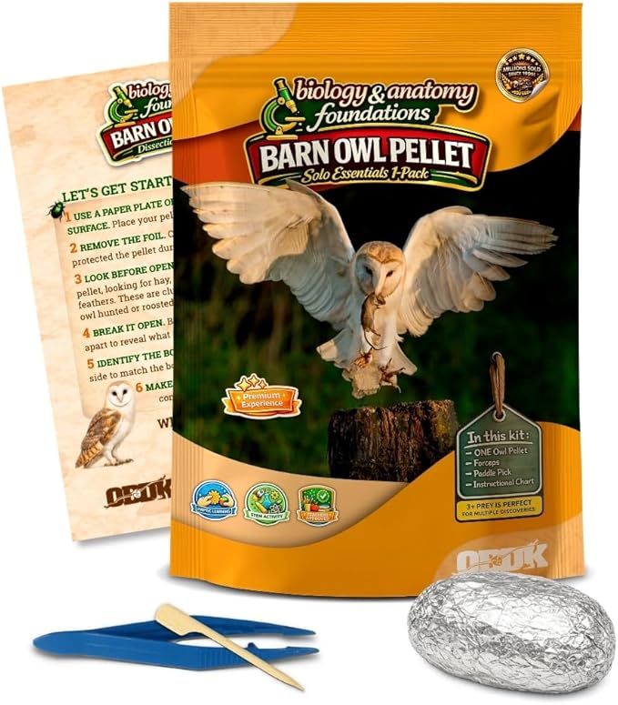 Barn Owl Pellets Classroom 1 Pack (Large) – Dissection Kit for Ecology & STEM – Includes Forceps, Picks & Teacher Guide – Hands-On Science Activity