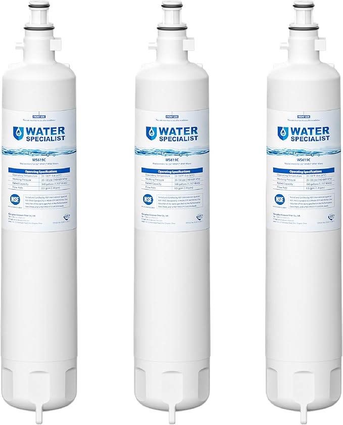 Waterspecialist WS619C Replacement for GE® RPWFE®, RPWF (Built-in CHIP) Refrigerator Water Filter, Compatible with GYS22GMNES, GYE22HSKSS, PYE22PELDS, GFE26GMKES, GFE28GYNFS, PFE28KYNFS, 3 Filters