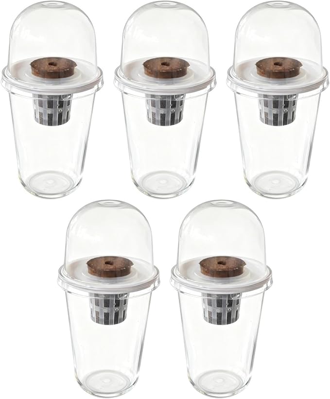 Pot Set Growing Kit Kit Germination Set Made of PP Material Soil for Garden Office Break Ro, 5 Kit
