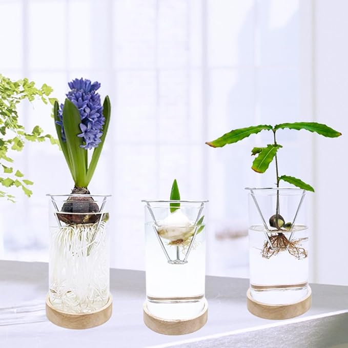 Avocado Vase, Avocado Seed Starter Vase with Wood Multicolor LED Light Base, Avocado Growing Kit with Plant Support, Acorn vase, propagation stations for Forcing Hyacinth (Stainless Steel Silver)
