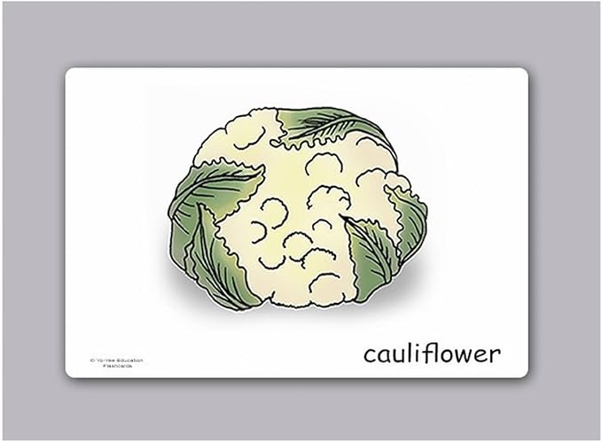 Yo-Yee Flash Cards - Vegetables and Health Food Picture Cards for Language Learning for Toddlers, Kids, Children and Adults - Including Teaching Activities and Game Ideas