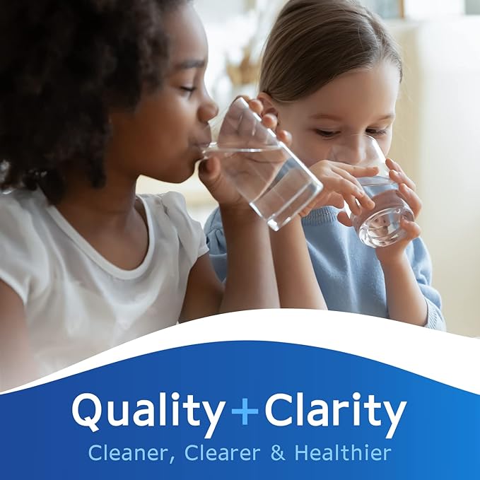Clear Choice Taste Filter Replacement for GE MWF GWF Filter Compatible with WF287 EFF-6013A FMG-1 FMG1 Refrigerator Water Filter, NSF/ANSI 42, Box of 2, Made in the USA