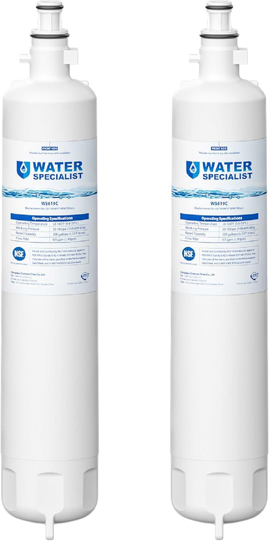 Waterspecialist WS619C Replacement for GE® RPWFE®, RPWF (Built-in CHIP) Refrigerator Water Filter, Compatible with GYS22GMNES, GYE22HSKSS, PYE22PELDS, GFE26GMKES, GFE28GYNFS, PFE28KYNFS, 2 Filters