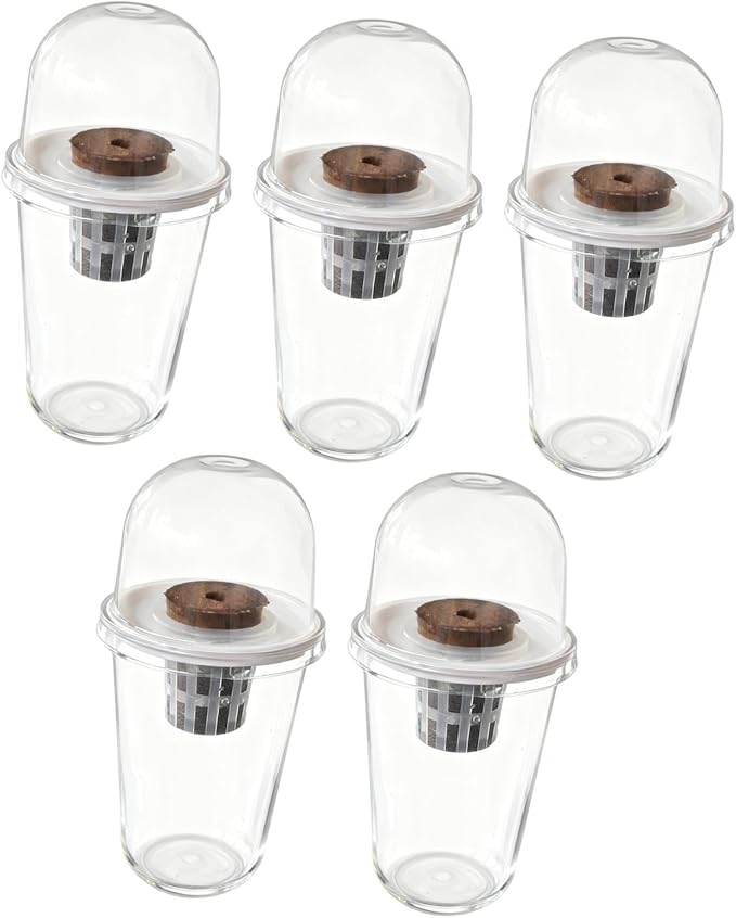 Pot Set Growing Kit Kit Germination Set Made of PP Material Soil for Garden Office Break Ro, 5 Kit