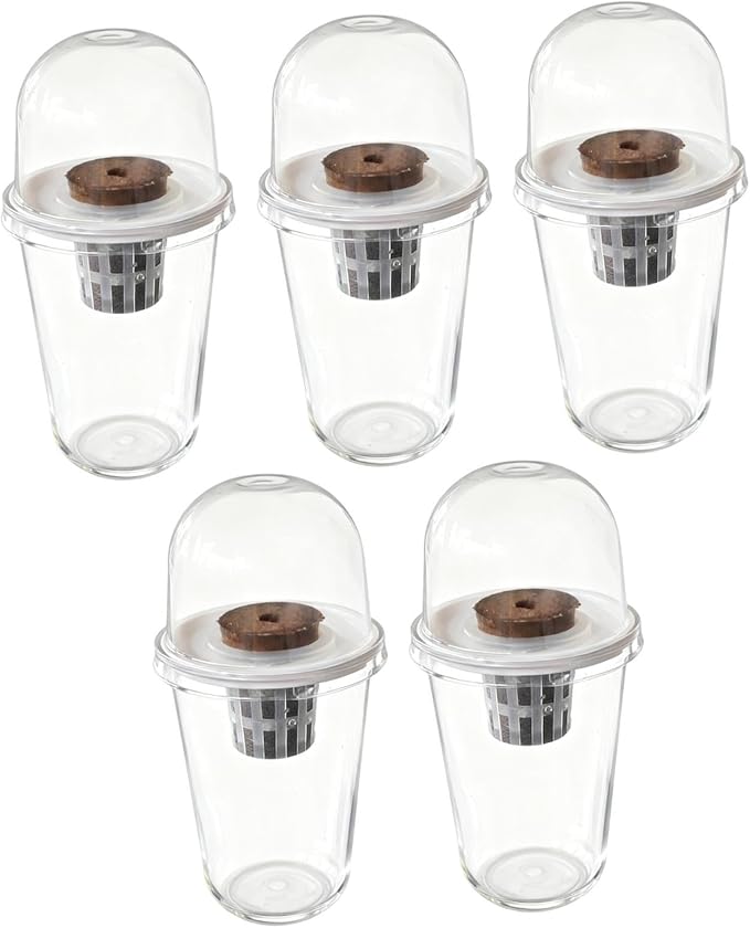Pot Set Growing Kit Kit Germination Set Made of PP Material Soil for Garden Office Break Ro, 5 Kit