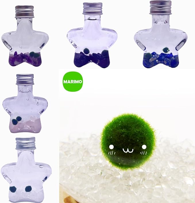 2PCS Marimo Cladophora Ball kit Natural Crystal 5 Choices Mini Marimo Cladophora Ball Kit - 5 Wish Stars with 2PCS Kokedama Unique Gift for Plants Beginners (Clear Quartz)