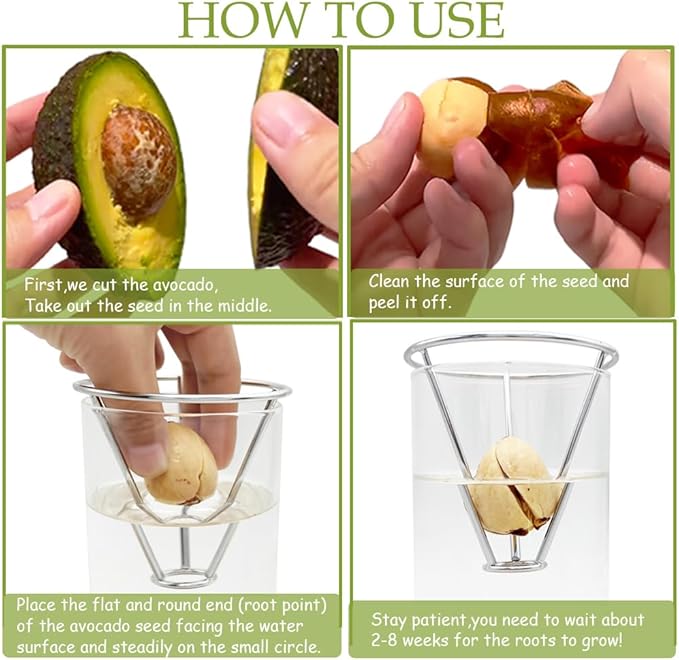 Avocado Vase, Avocado Seed Starter Vase with Wood Multicolor LED Light Base, Avocado Growing Kit with Plant Support, Acorn vase, propagation stations for Forcing Hyacinth (Stainless Steel Silver)
