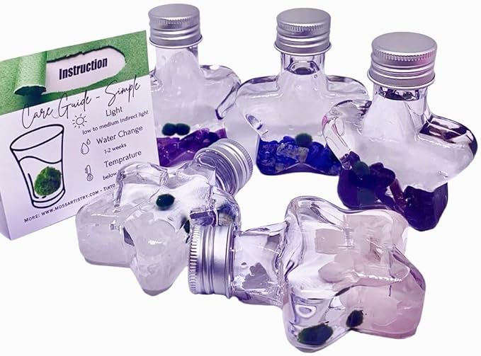 2PCS Marimo Cladophora Ball kit Natural Crystal 5 Choices Mini Marimo Cladophora Ball Kit - 5 Wish Stars with 2PCS Kokedama Unique Gift for Plants Beginners (Clear Quartz)