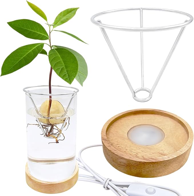 Avocado Vase, Avocado Seed Starter Vase with Wood Multicolor LED Light Base, Avocado Growing Kit with Plant Support, Acorn vase, propagation stations for Forcing Hyacinth (Stainless Steel Silver)