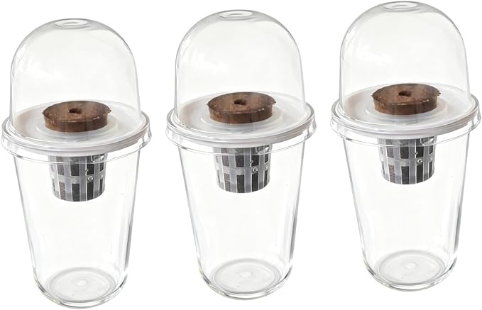 Pot Set Growing Kit Kit Germination Set Made of PP Material Soil for Garden Office Break Ro, 3 Kit