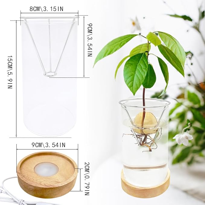 Avocado Vase, Avocado Seed Starter Vase with Wood Multicolor LED Light Base, Avocado Growing Kit with Plant Support, Acorn vase, propagation stations for Forcing Hyacinth (Stainless Steel Silver)