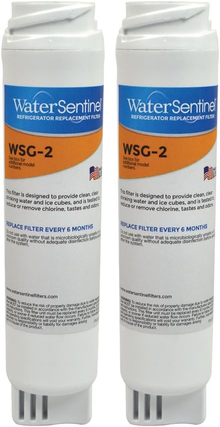 WaterSentinel WSG-2 Water Filter Replacement for GE Filters: Fits GE GSWF Filters (2-Pack)