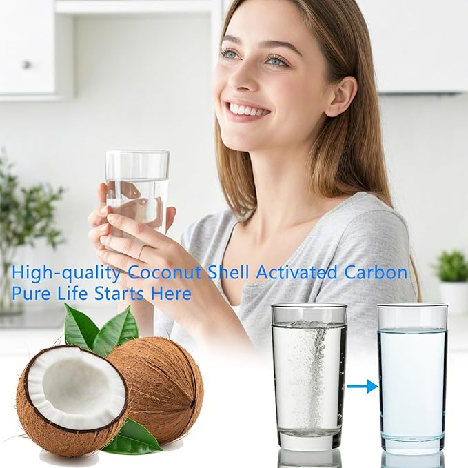 Fancial NSF Certified Water Filter, Advanced Coconut Shell Activated Carbon, 6 Months Life for W10295370A, FILTER1, EDR1RXD1, P4RFKB2, P4RFWB, P5WB2L, Removes Odor, Impurities, 2Pack