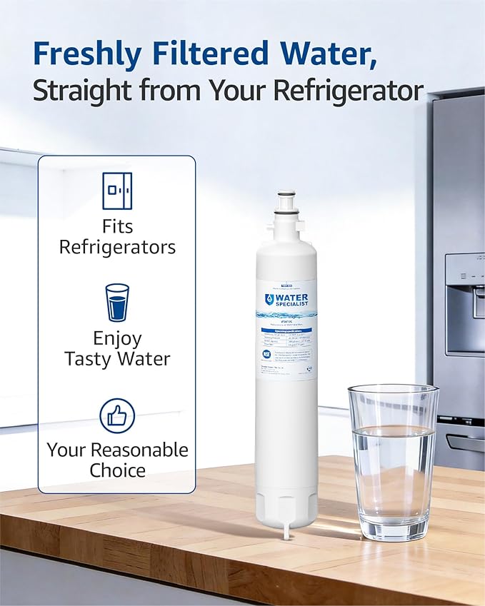Waterspecialist WS619C Replacement for GE® RPWFE®, RPWF (Built-in CHIP) Refrigerator Water Filter, Compatible with GYS22GMNES, GYE22HSKSS, PYE22PELDS, GFE26GMKES, GFE28GYNFS, PFE28KYNFS, 2 Filters