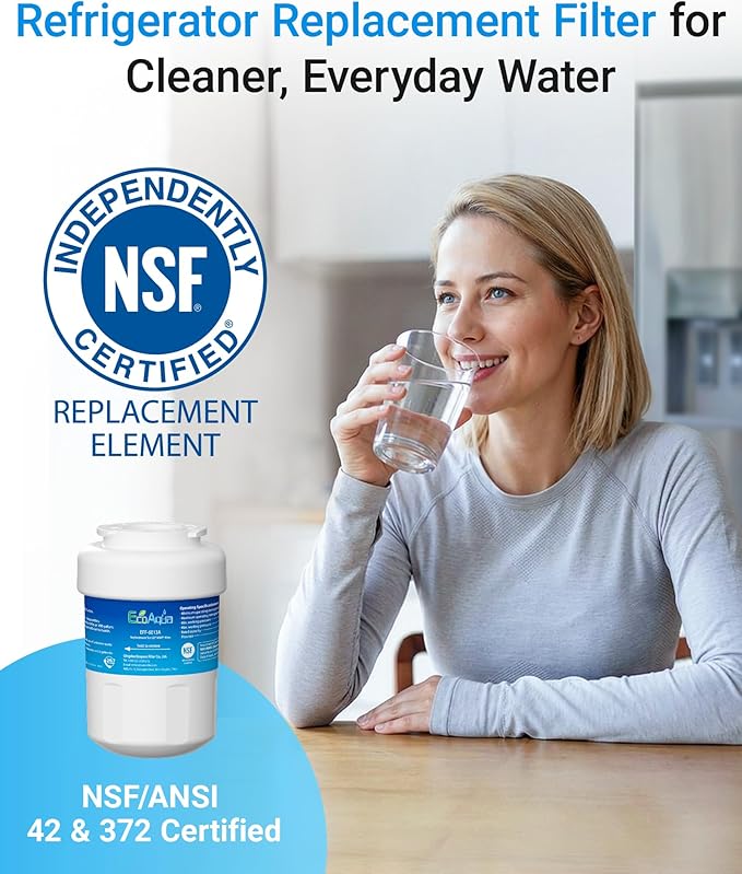 EcoAqua EFF-6013A Replacement Filter, Compatible with GE MWF SmartWater, MWFA, MWFP, GWF, GWFA, 46-9991, HDX FMG-1, WFC1201, GSE25GSHECSS, PC75009, RWF1060 Refrigerator Water Filter, 1 Pack