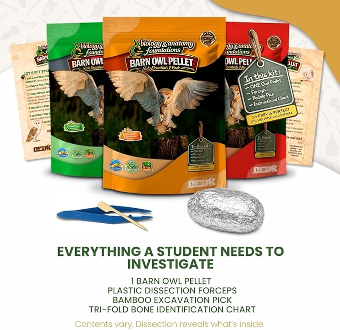 Barn Owl Pellets Classroom 1 Pack (Large) – Dissection Kit for Ecology & STEM – Includes Forceps, Picks & Teacher Guide – Hands-On Science Activity