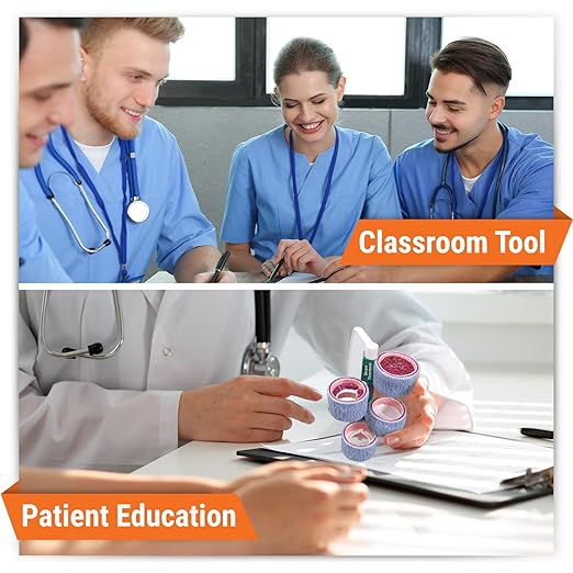 GPI Anatomicals - 4-Piece Vein Model, Replica of a Vein with Blood Clot for Human Anatomy and Physiology Education, Anatomy Model for Doctor's Offices and Classrooms, Medical Learning Resources
