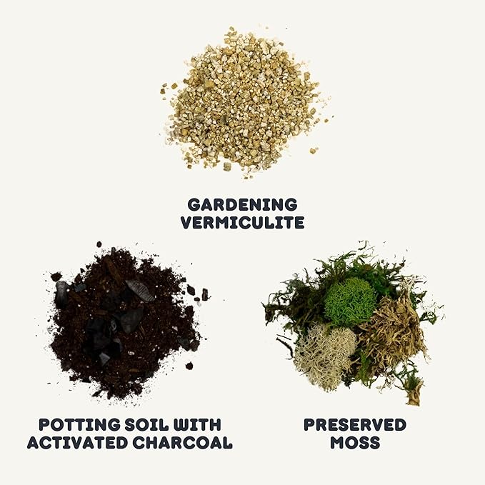 Cute Farms Terrarium Starter Kit | Moss, Vermiculite, Soil, Pebbles, Plant Food, Finishing Tools, Build and Care Guide | DIY Succulent Terrarium (Small)