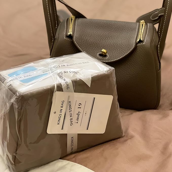 Mini Lindy Bag Insert, Luxury Bags Storage with Silk, Lightweight Inner Bag Compatible with Lindy 19 Bags, Multiple Pockets Large Capacity(Etoupe grey, Lindy19)