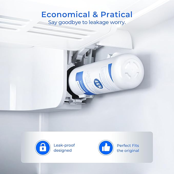 TEEHAY 9081 Water Filter Replacement, Compatible with Whirlpool P5WB2L, P4RFWB, Kenmore P4RFKB2, Kenmore 9930, 46-9930, 9081, 46-9081, 9930P, 469930, 04609930000 (4 Pack)