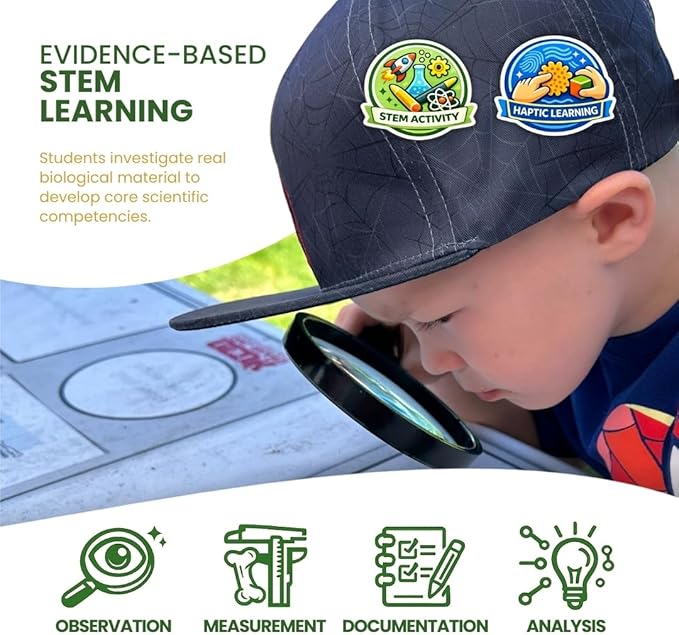 Barn Owl Pellets Classroom 1 Pack (Large) – Dissection Kit for Ecology & STEM – Includes Forceps, Picks & Teacher Guide – Hands-On Science Activity