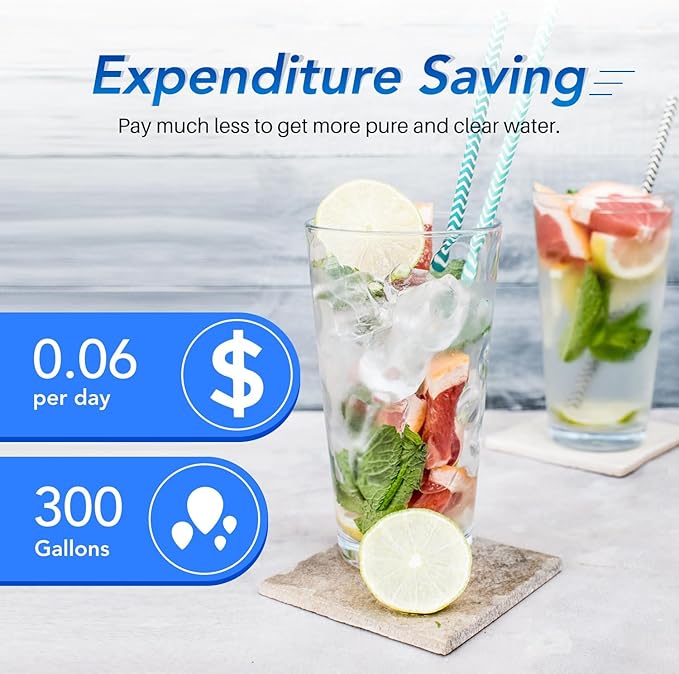 ICEPURE RFC6600A Compatible with EDR3RXD1 Refrigerator Water Filter, 4396841, Everydrop® Filter 3, 4396710, Kenmore® 9030, 9083, 46-9083, 46-9030,2PACK