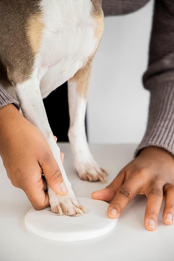 Reece Studio Pet Paw Print Ornament Kit, 2-Pack Keepsake Clay Impression Set with White Ribbon – DIY Holiday Decoration for Dogs and Cats, for Pet Owners