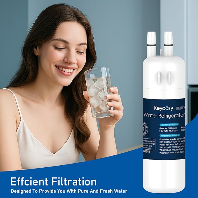 K001 Refrigerator Water Filter Replacement for EDR1RXD1, Everydrop Filter 1, W10295370, WHR1RXD1, KAD1RXD1, P4RFWB, P8RFWB2L, Compatible for Kenmore 46-9930, 46-9081 (1)