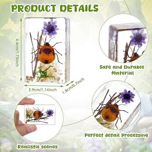 Macarrie 12 Pcs Bug Collection Kit for Kids Insect Specimens Real Specimens of Butterflies Beetles for Kids Classroom Science Education Animal Collection, Bug Preserved, Biology(Scenery)