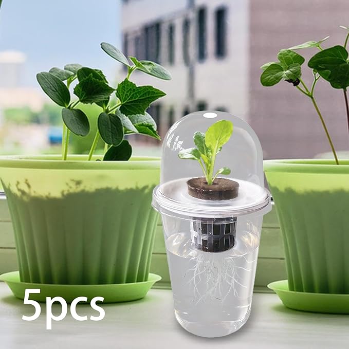 Pot Set Growing Kit Kit Germination Set Made of PP Material Soil for Garden Office Break Ro, 5 Kit