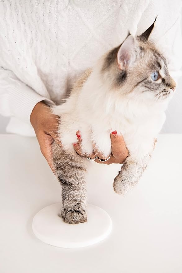 Reece Studio Pet's Pawprint Keepsake, DIY Clay Paw Print Imprint, For Dogs and Cats, Hanging Keepsake, Pet Owner Gift, With 3 Included Ribbons
