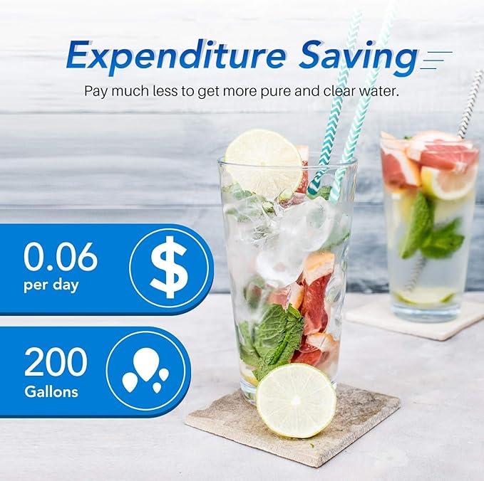 ICEPURE ADQ36006101 9690 Water Filter Replacement for LG LT700P, Kenmore Elite 46-9690 ADQ36006102, CLCH106, RWF1052 LFX28968ST LFXS29626S LFXS30766S and ICEPURE LT120F Fresh Air Filte, 3PACK
