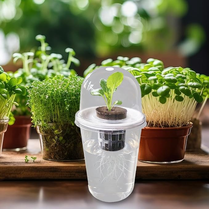 Pot Set Growing Kit Kit Germination Set Made of PP Material Soil for Garden Office Break Ro, 1 Kit