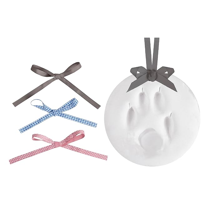 Reece Studio Pet's Pawprint Keepsake, DIY Clay Paw Print Imprint, For Dogs and Cats, Hanging Keepsake, Pet Owner Gift, With 3 Included Ribbons