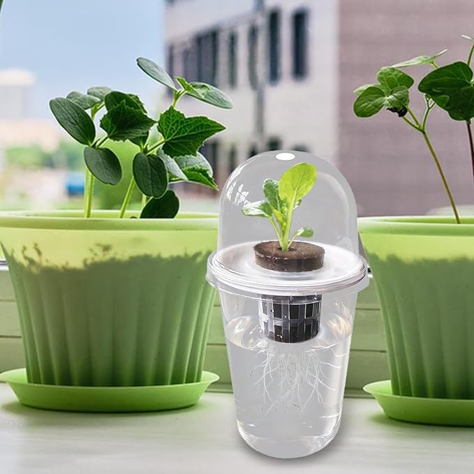 Pot Set Growing Kit Kit Germination Set Made of PP Material Soil for Garden Office Break Ro, 1 Kit